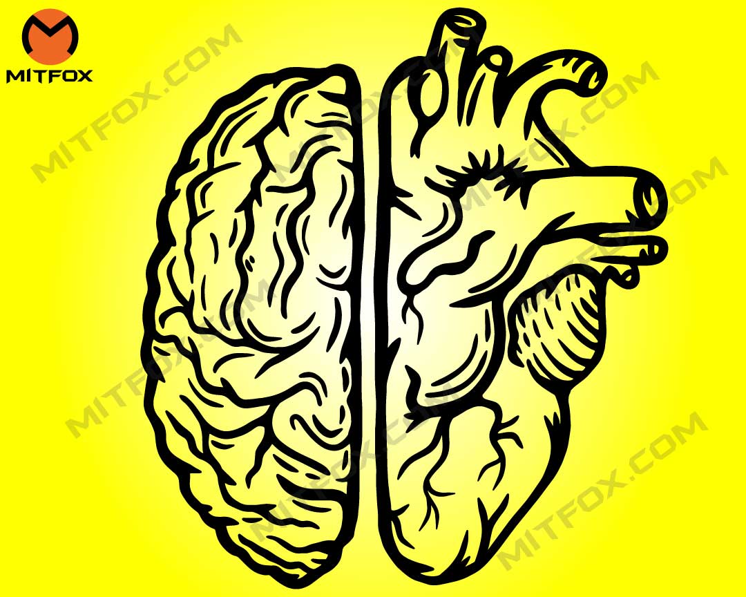 Brain and Heart SVG, Anatomy svg - mitfox