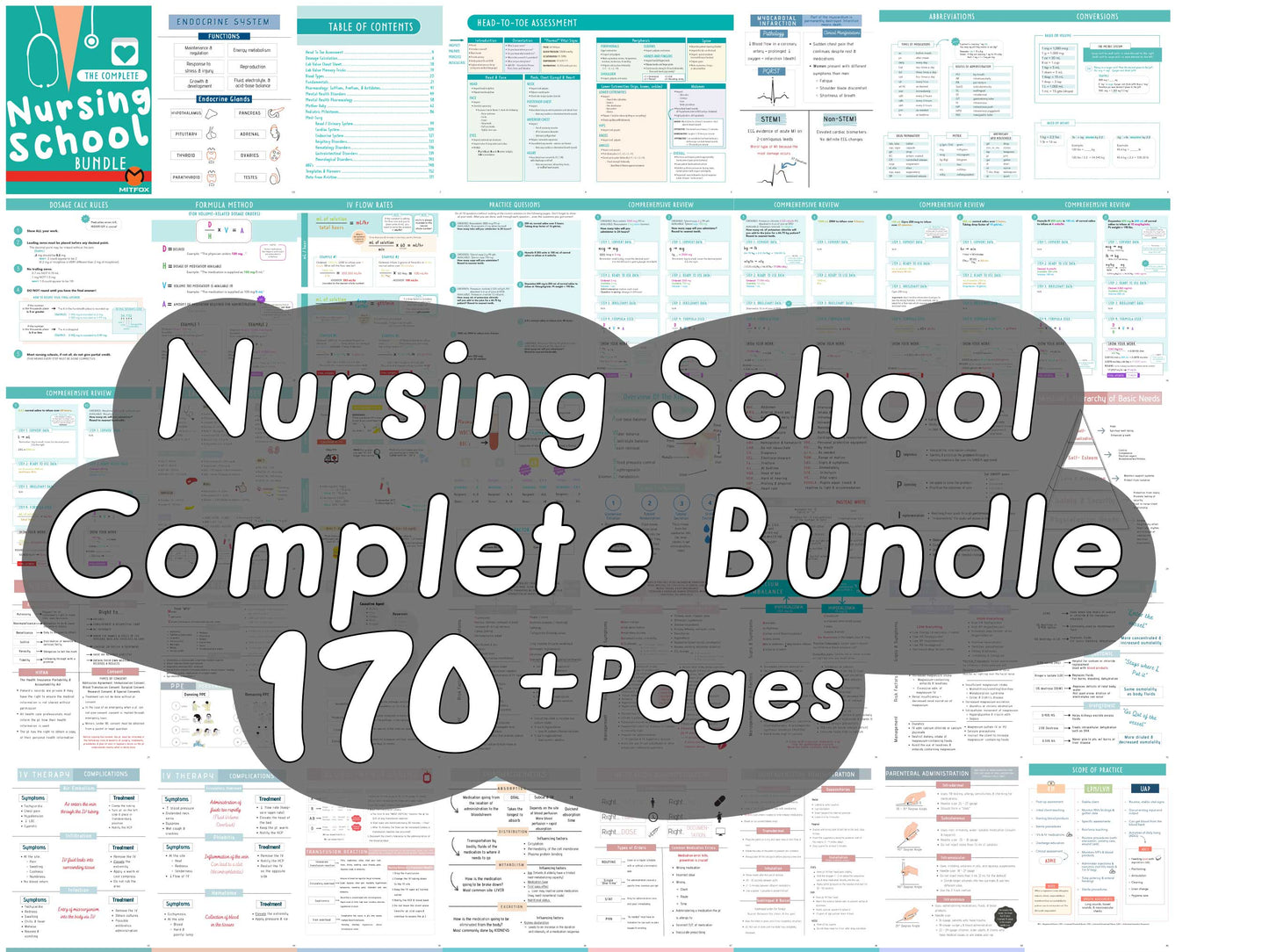 The Complete Nursing School Bundle | 172 pages, nursing student, Nursing Fundamentals Study Guide, Nursing Notes, nurse gift for her or for him